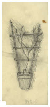 Visualizza l'immagine "FD D 1278"